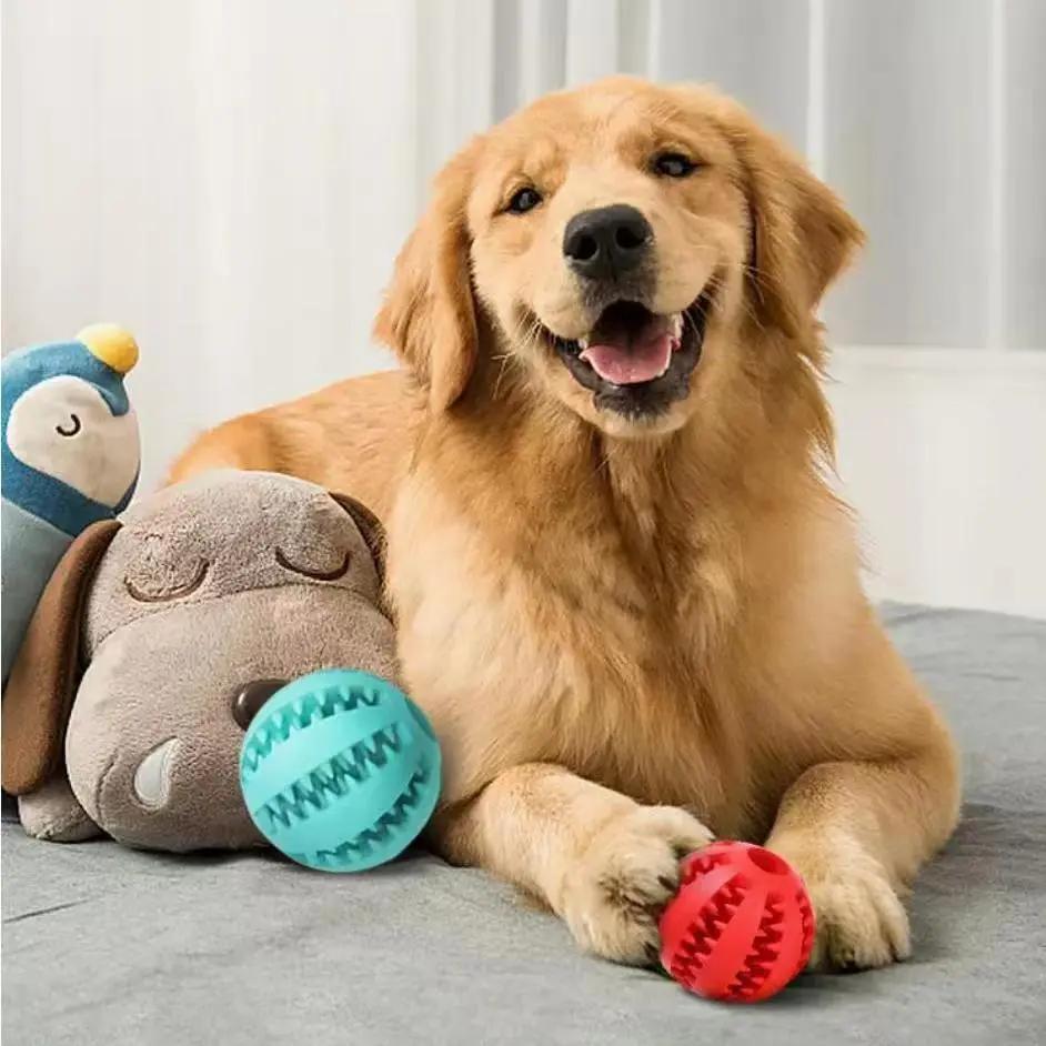 Interactive Dog Chew & Tug Toy null