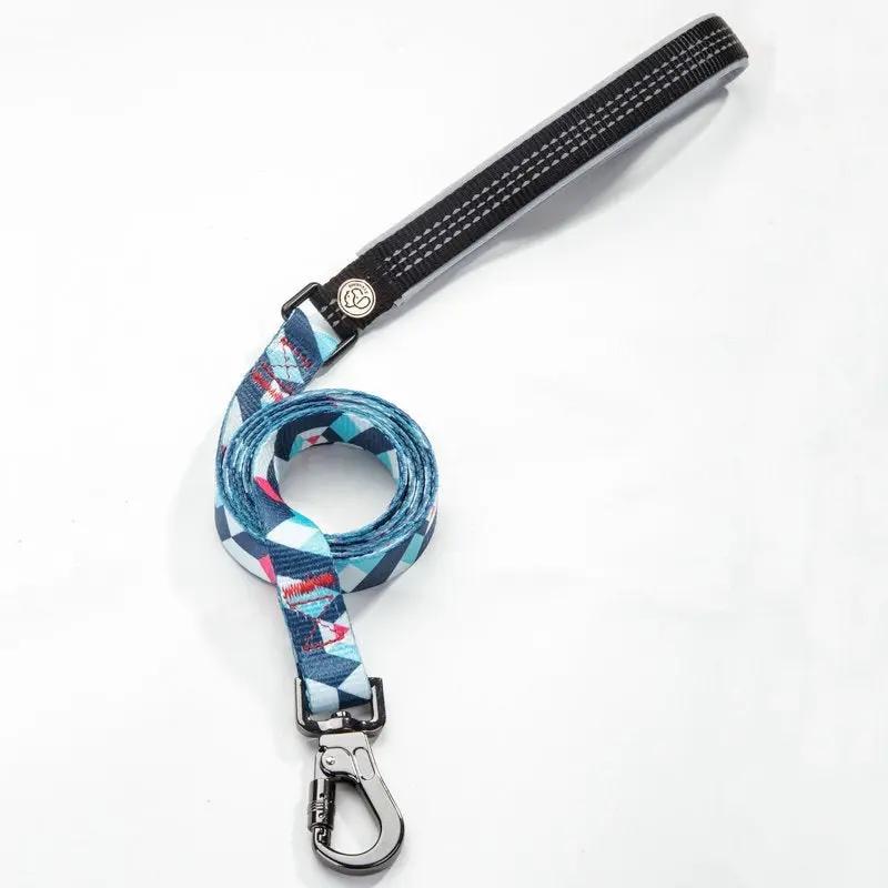 Durable Polyester Dog Leash with Zinc Alloy Fittings null