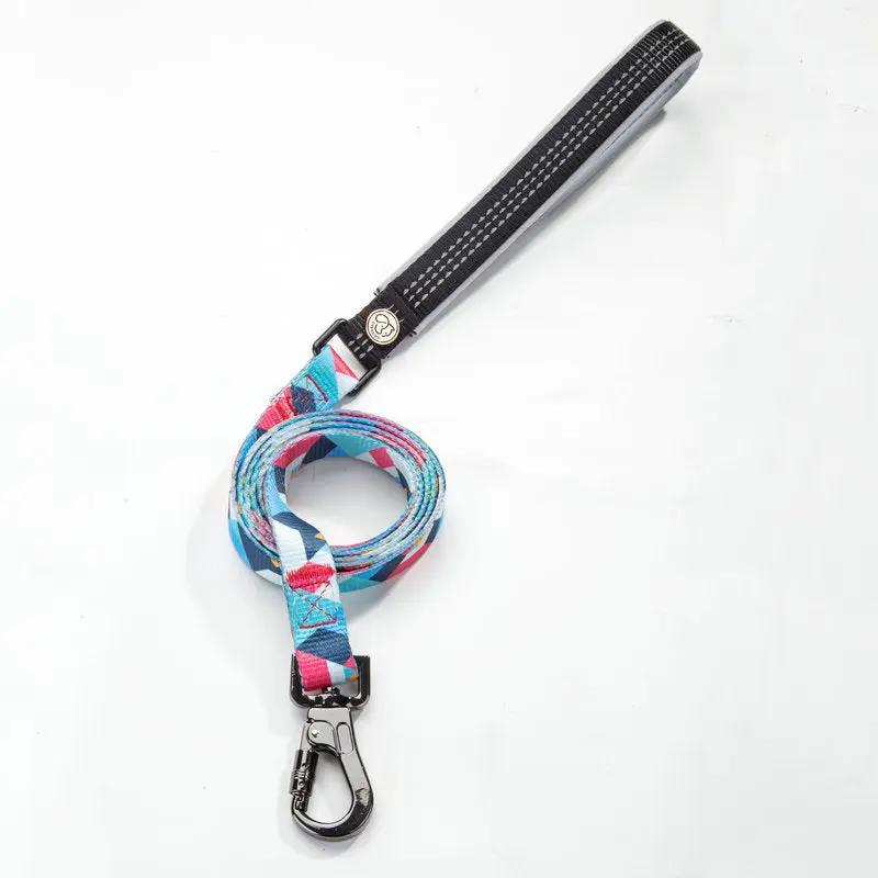 Durable Polyester Dog Leash with Zinc Alloy Fittings null