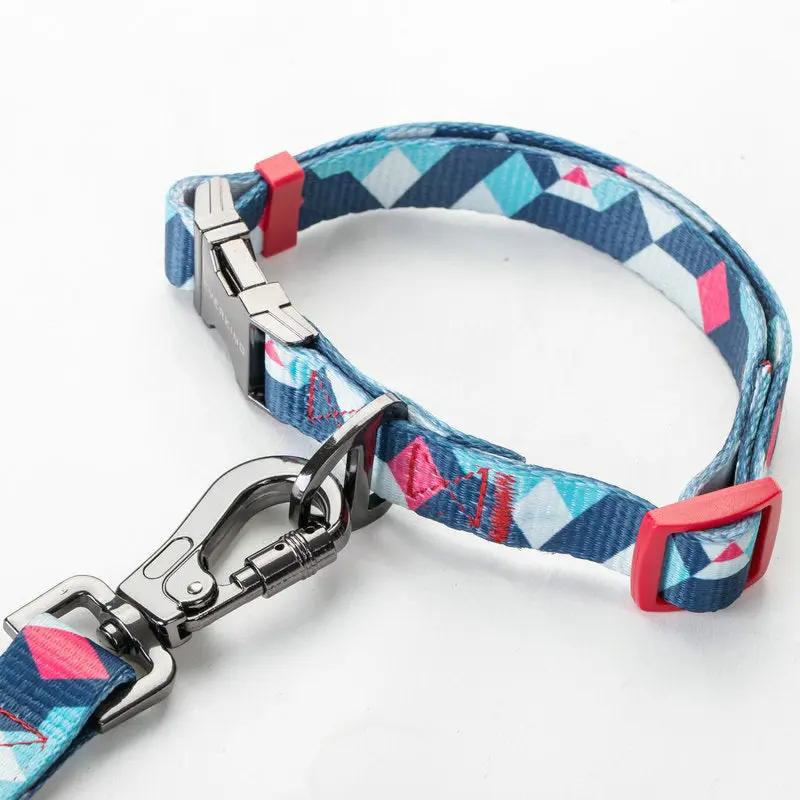 Durable Polyester Dog Leash with Zinc Alloy Fittings null