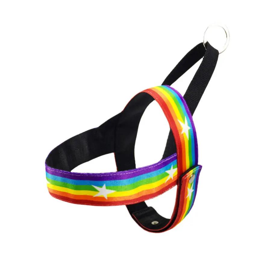 Rainbow Nylon Dog Leash with T-Type Chest Harness null