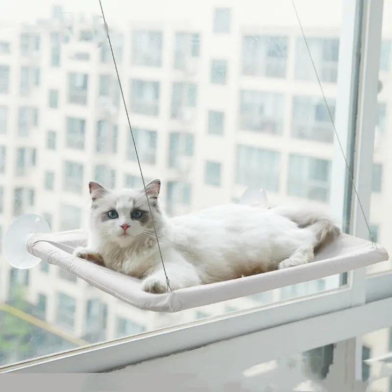 Cat Window Hammock null