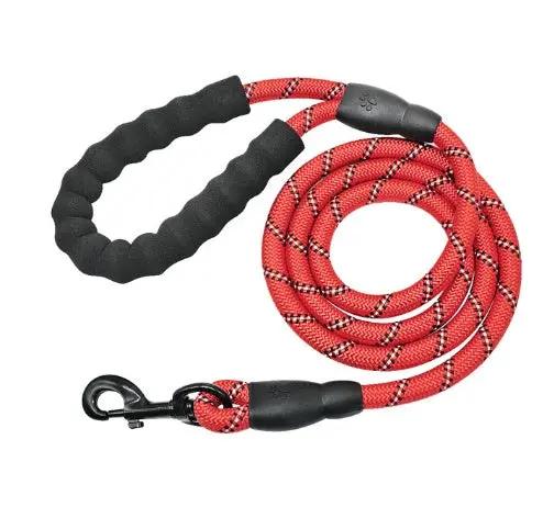 Reflective Nylon Dog Leash null