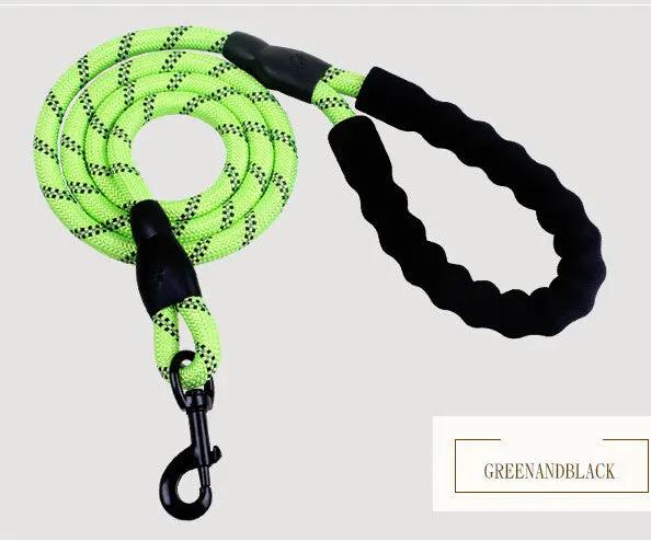 Reflective Nylon Dog Leash null