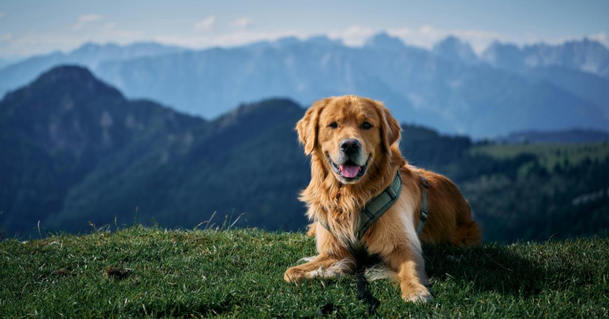 slider image 1621243260e1af0c20-0