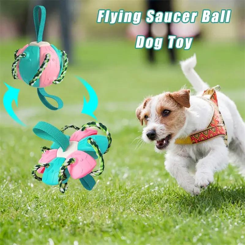 Interactive Dog Soccer Ball null