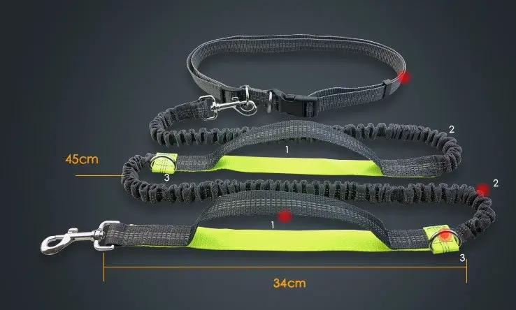 Multi-Function Reflective Running Dog Leash null