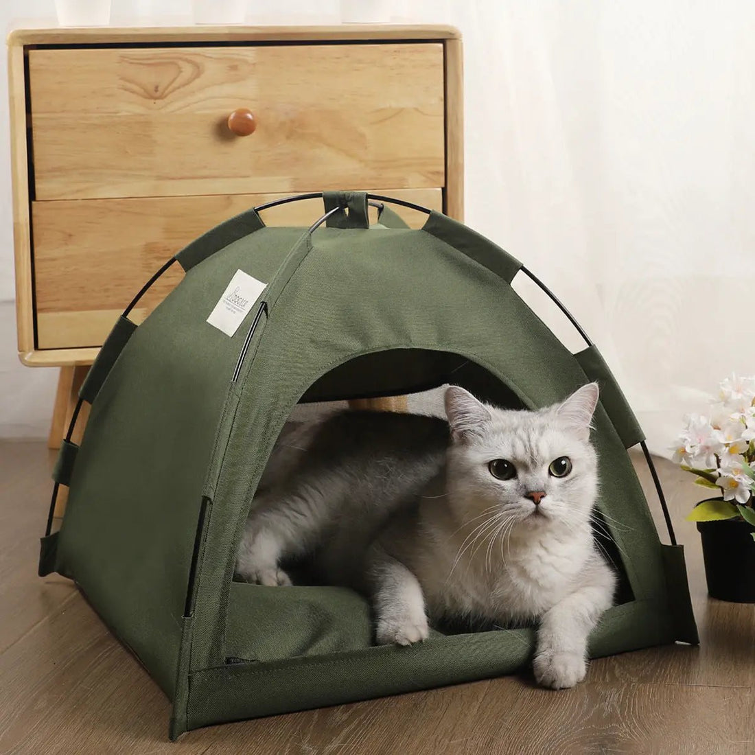 Portable Cat Tent & Dog House null