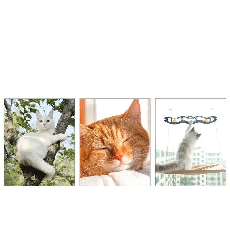 Cat Window Hammock null