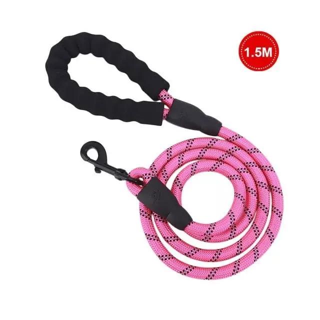 Luminous Dog Leash for Small & Medium Dogs null