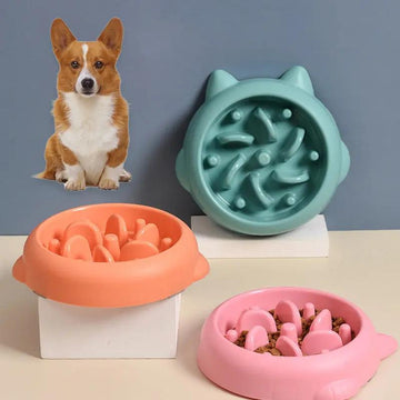 Slow Feeder Dog & Cat Bowl null