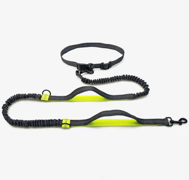 Multi-Function Reflective Running Dog Leash null