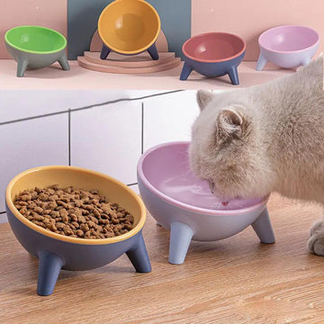 Elevated Pet Bowl with Stand null