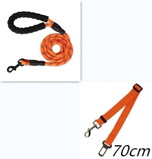 Reflective Nylon Dog Leash null