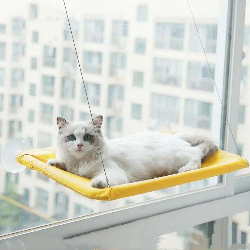 Cat Window Hammock null