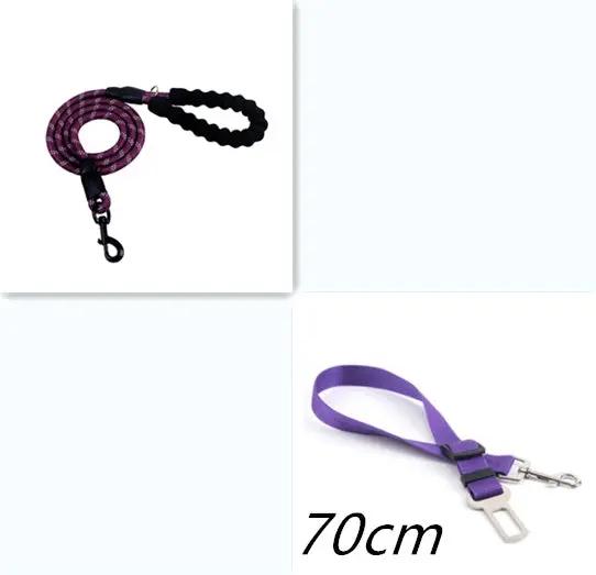 Reflective Nylon Dog Leash null