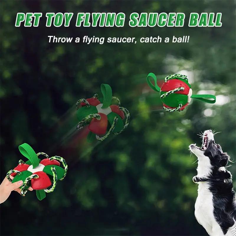 Interactive Dog Soccer Ball null