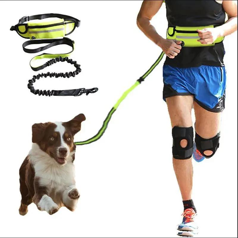 Hands-Free Dog Leash & Pet Walking Belt null