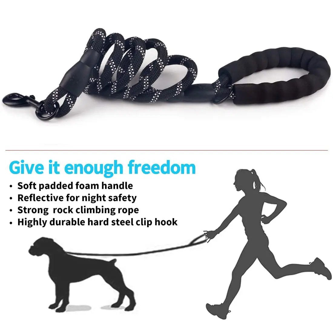 Luminous Dog Leash for Small & Medium Dogs null