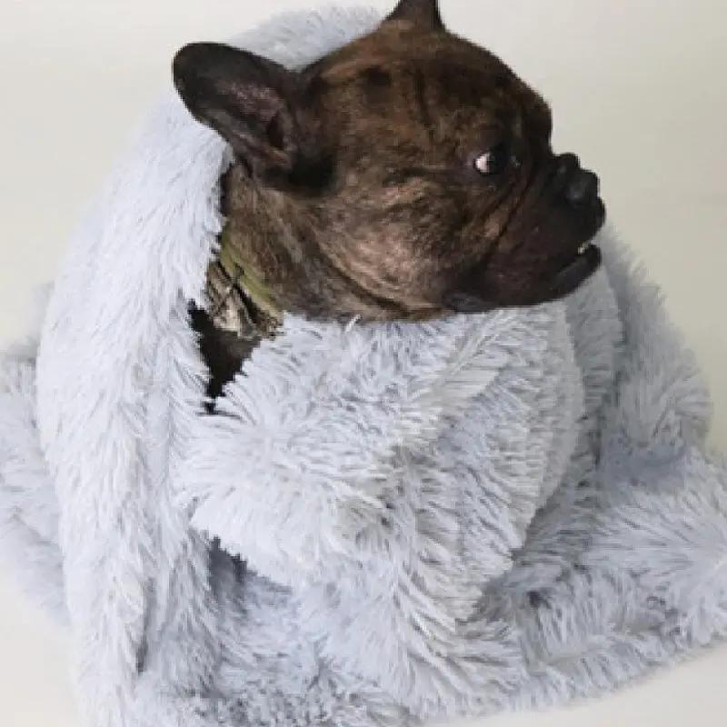 Luxury Pet Blanket for Dogs & Cats null