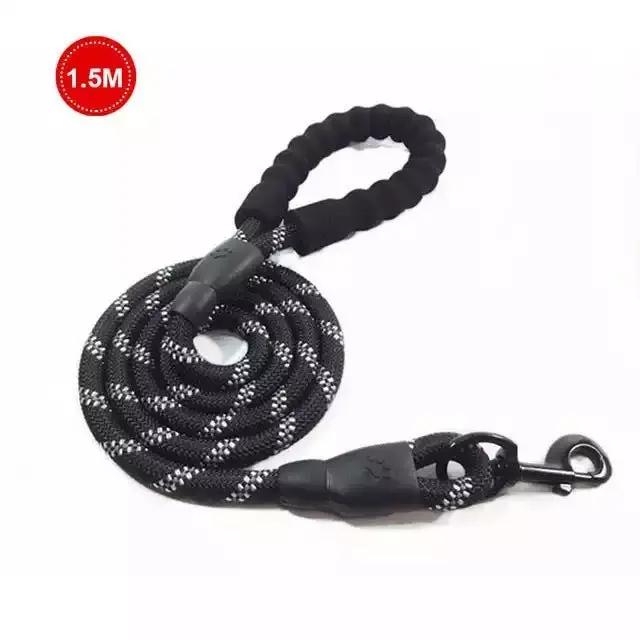 Luminous Dog Leash for Small & Medium Dogs null