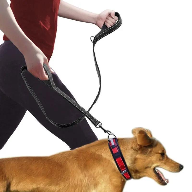 Pet Double Handle Pull Leash null