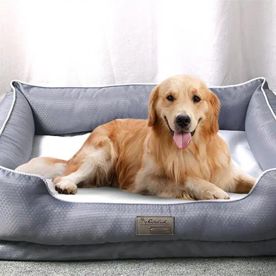 Removable Pet Bed null