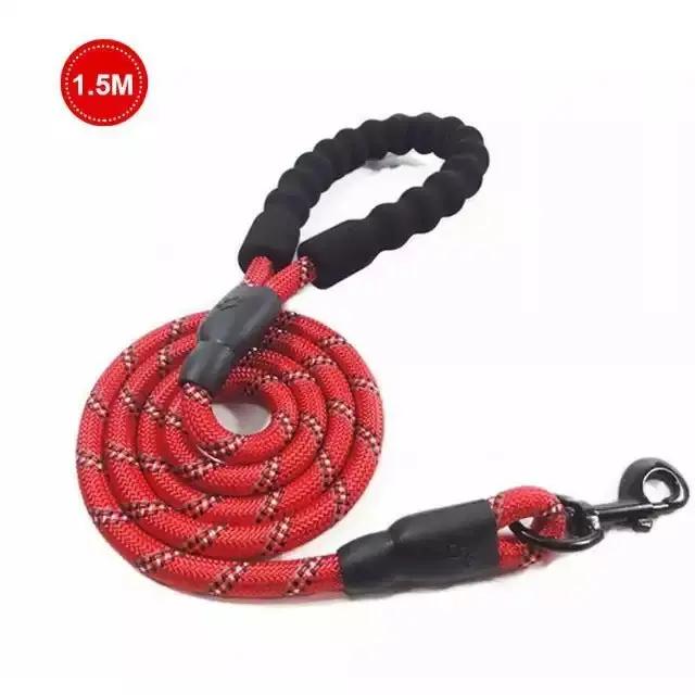 Luminous Dog Leash for Small & Medium Dogs null