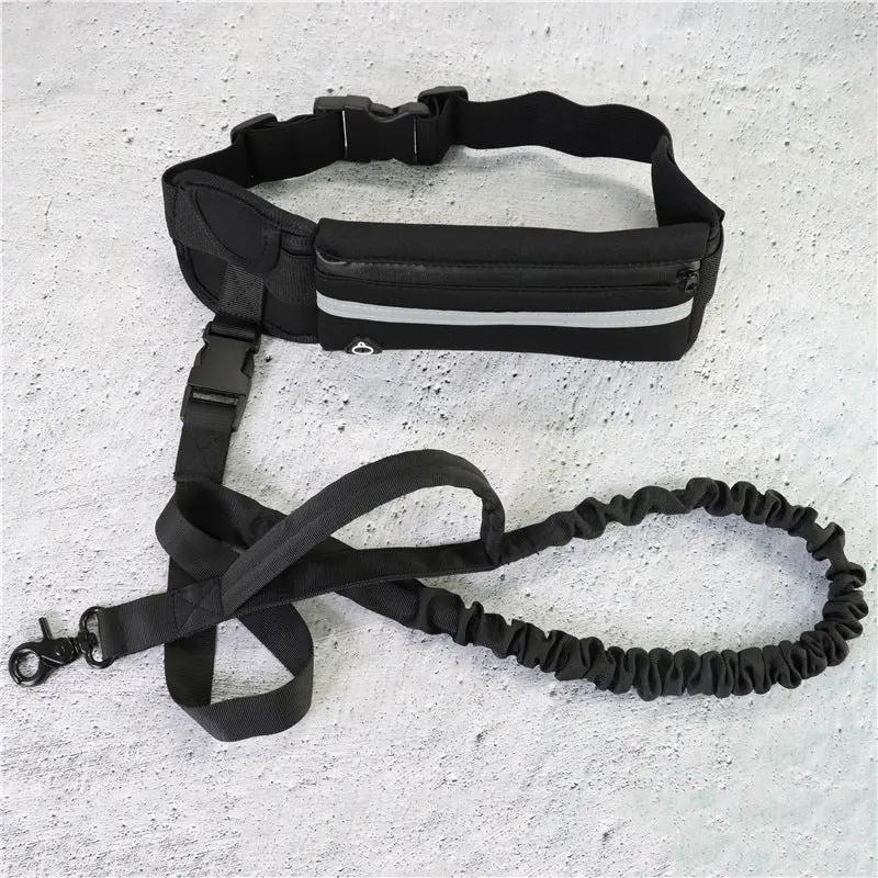 Hands-Free Dog Leash & Pet Walking Belt null