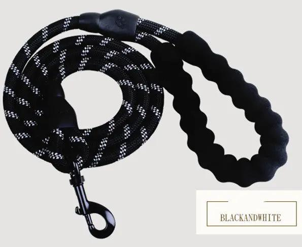 Reflective Nylon Dog Leash null