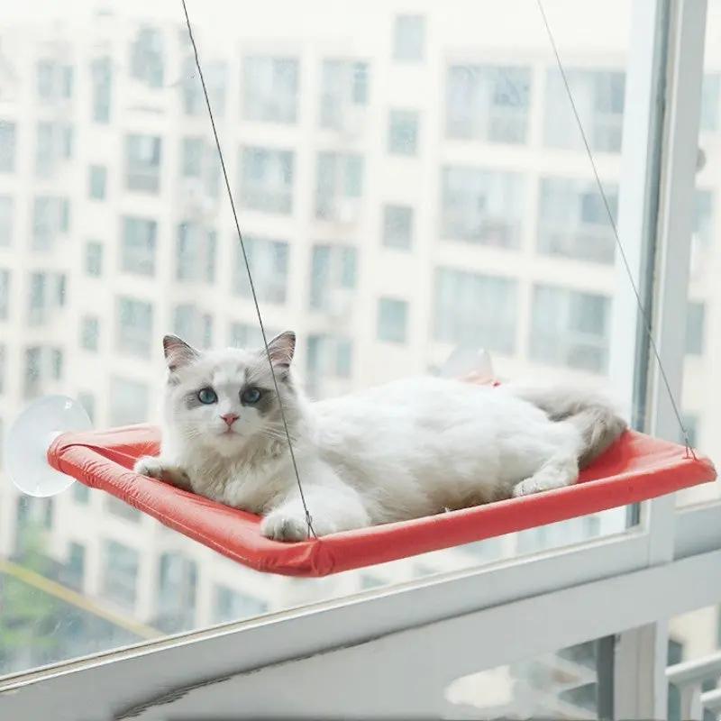 Cat Window Hammock null