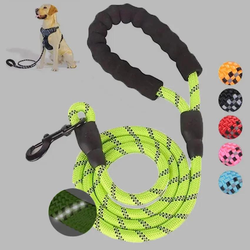 Luminous Dog Leash for Small & Medium Dogs null