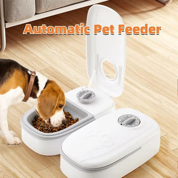 Automatic Pet Feeder & Water Dispenser null
