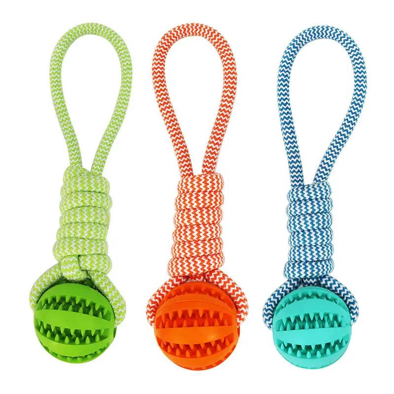 Interactive Dog Chew & Tug Toy null