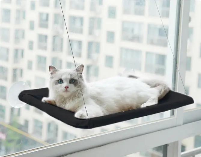 Cat Window Hammock null