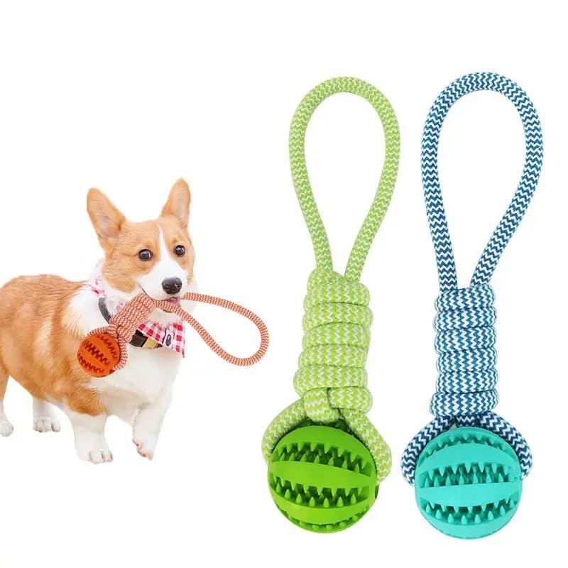 Interactive Dog Chew & Tug Toy null