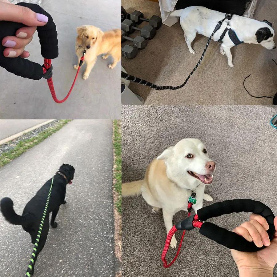 Luminous Dog Leash for Small & Medium Dogs null