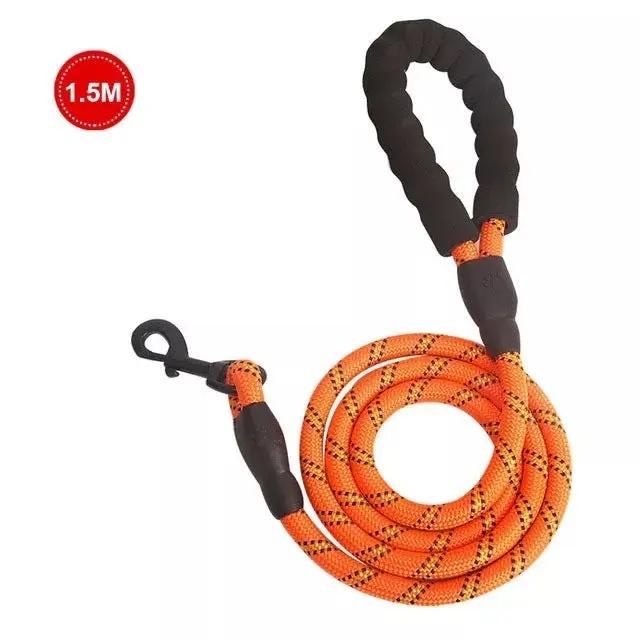 Luminous Dog Leash for Small & Medium Dogs null