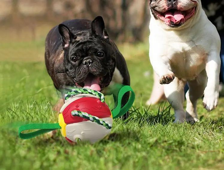 Interactive Dog Soccer Ball null