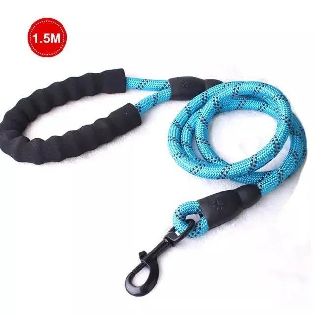 Luminous Dog Leash for Small & Medium Dogs null